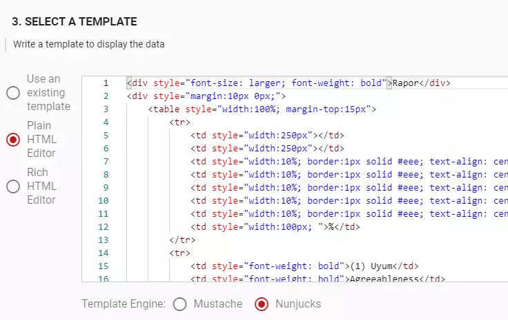 Custom Reporting Templates for Personality Tests