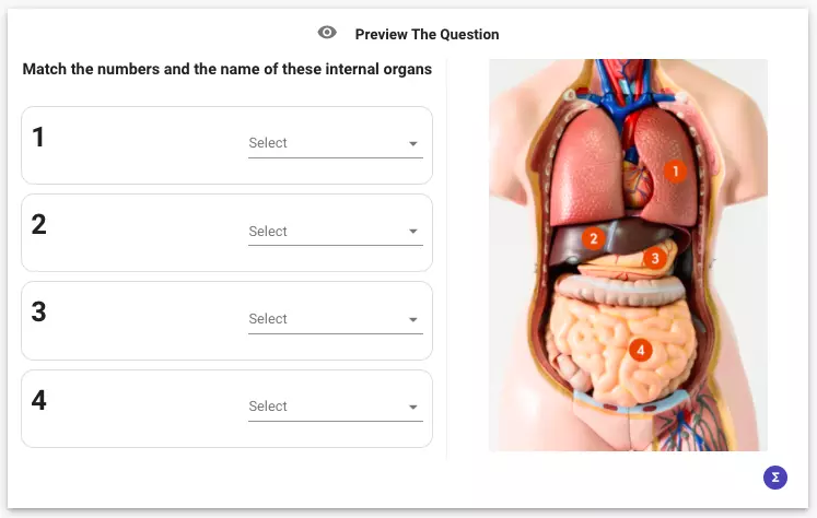 To the right or left side of the question, you can add images that help to explain the question or rich content that describes the question itself.