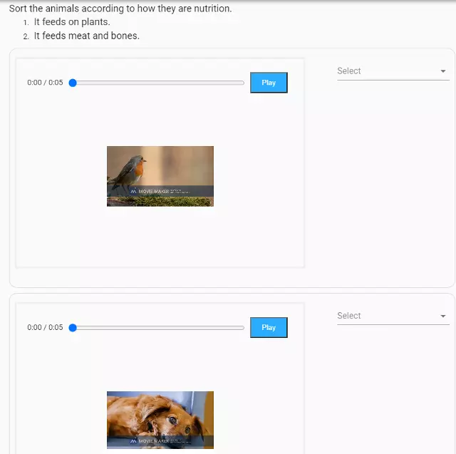 Exemple de question d’appariement créée en ajoutant une vidéo à chaque élément de la question