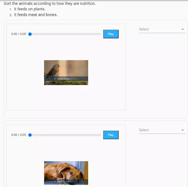 Soru maddelerine video eklenmesiyle oluşturulan eşleştirmeli soru örneği.