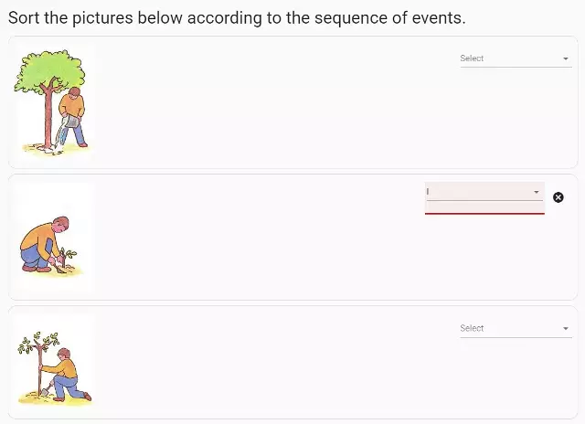 Classement de chaque image selon le flux de l’évènement