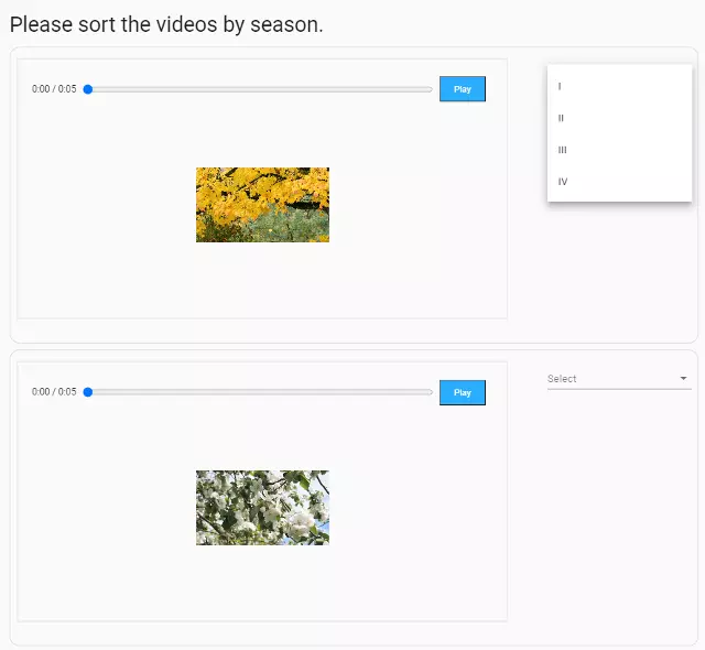 Example of a question created by ranking each video file