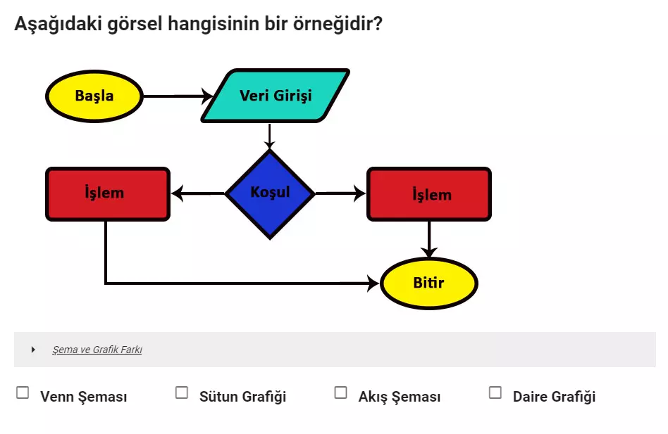 Resim içerikli, çoktan seçmeli soru örneği